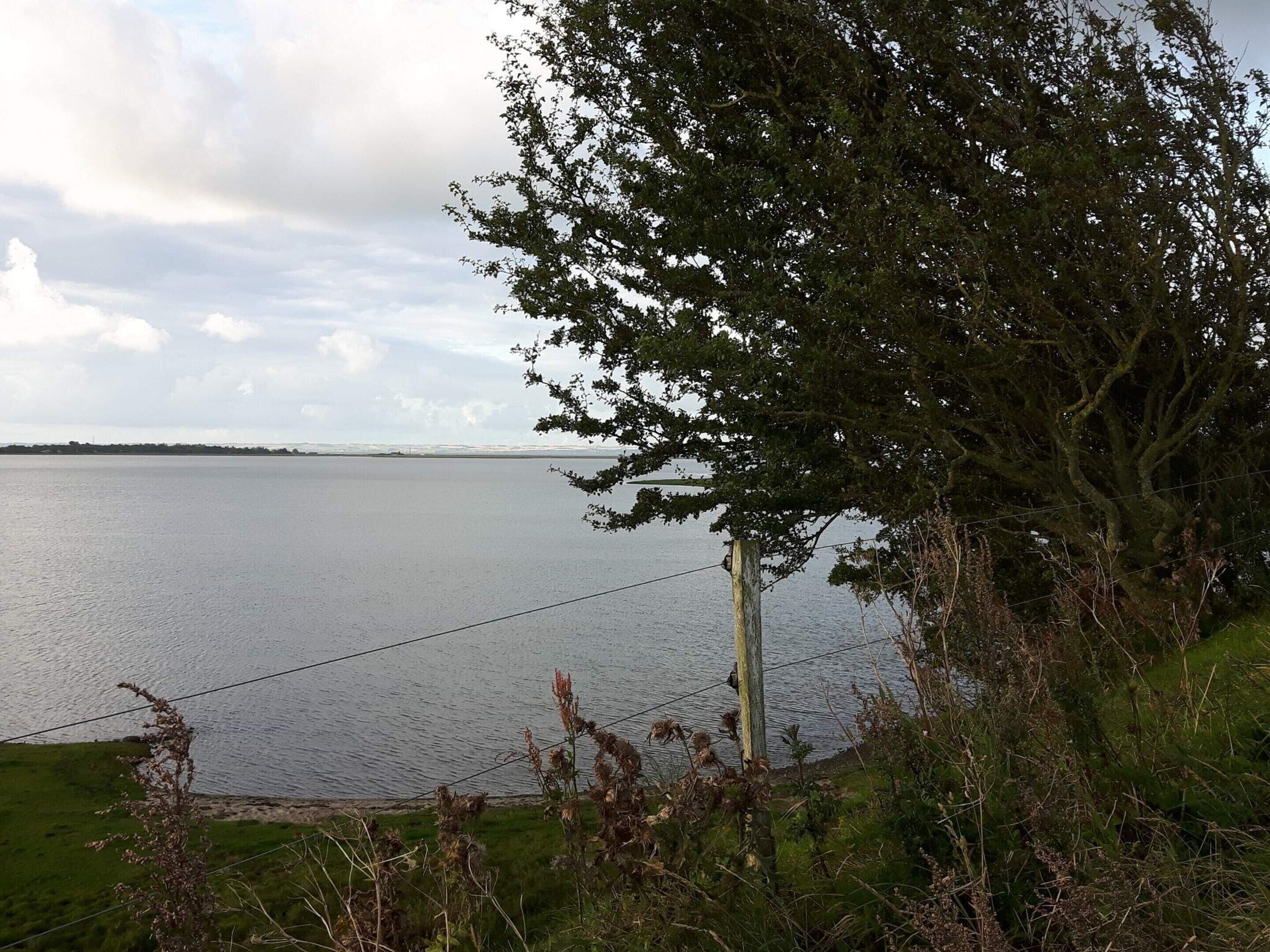 Water, een boom en een grasveld.