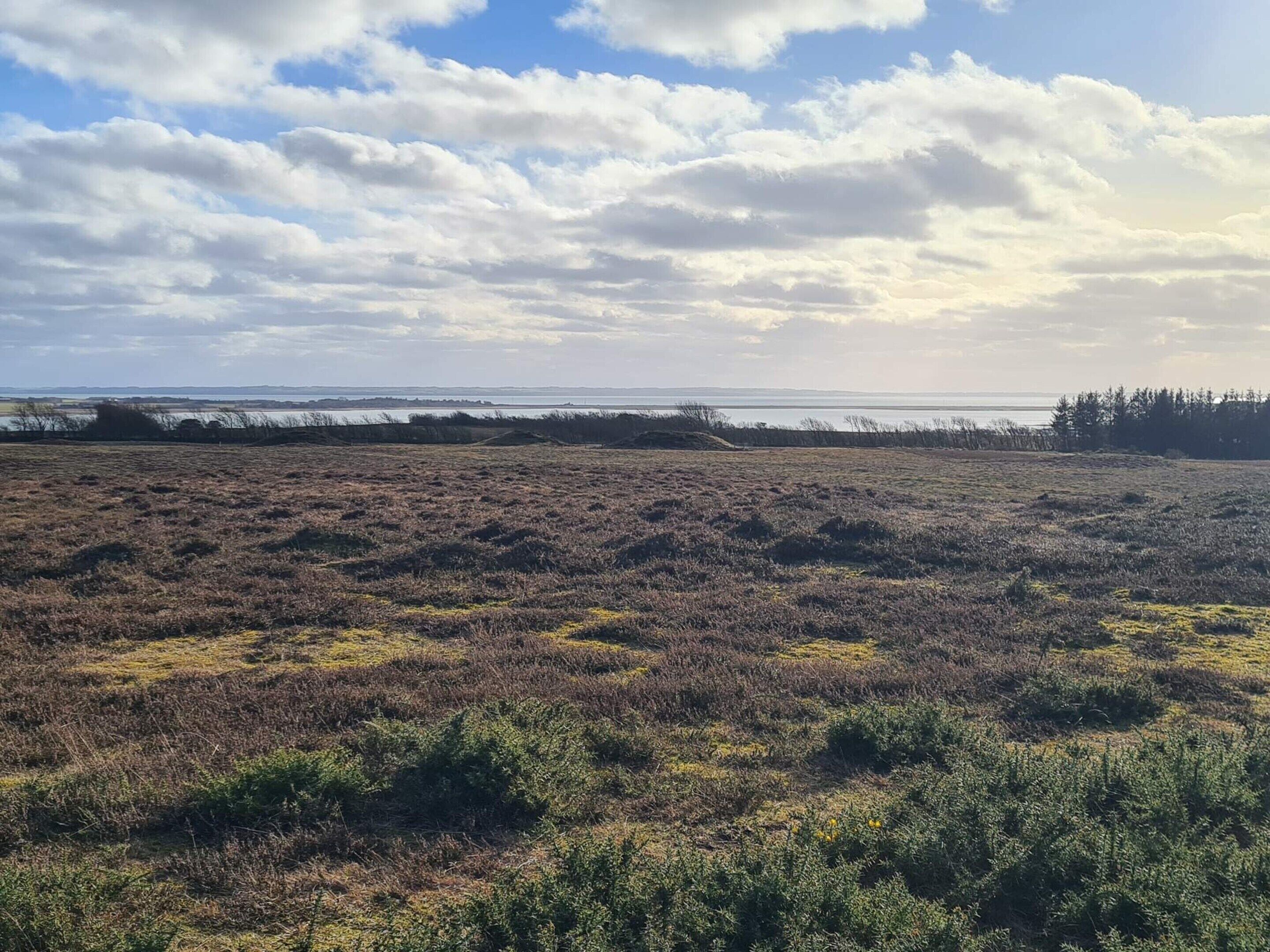 A flat, open field with sparse vegetation and a distant body of water under a partly cloudy sky.