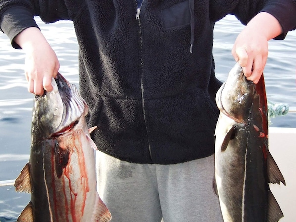 A person holding two fish, one with blood on it, on a boat.