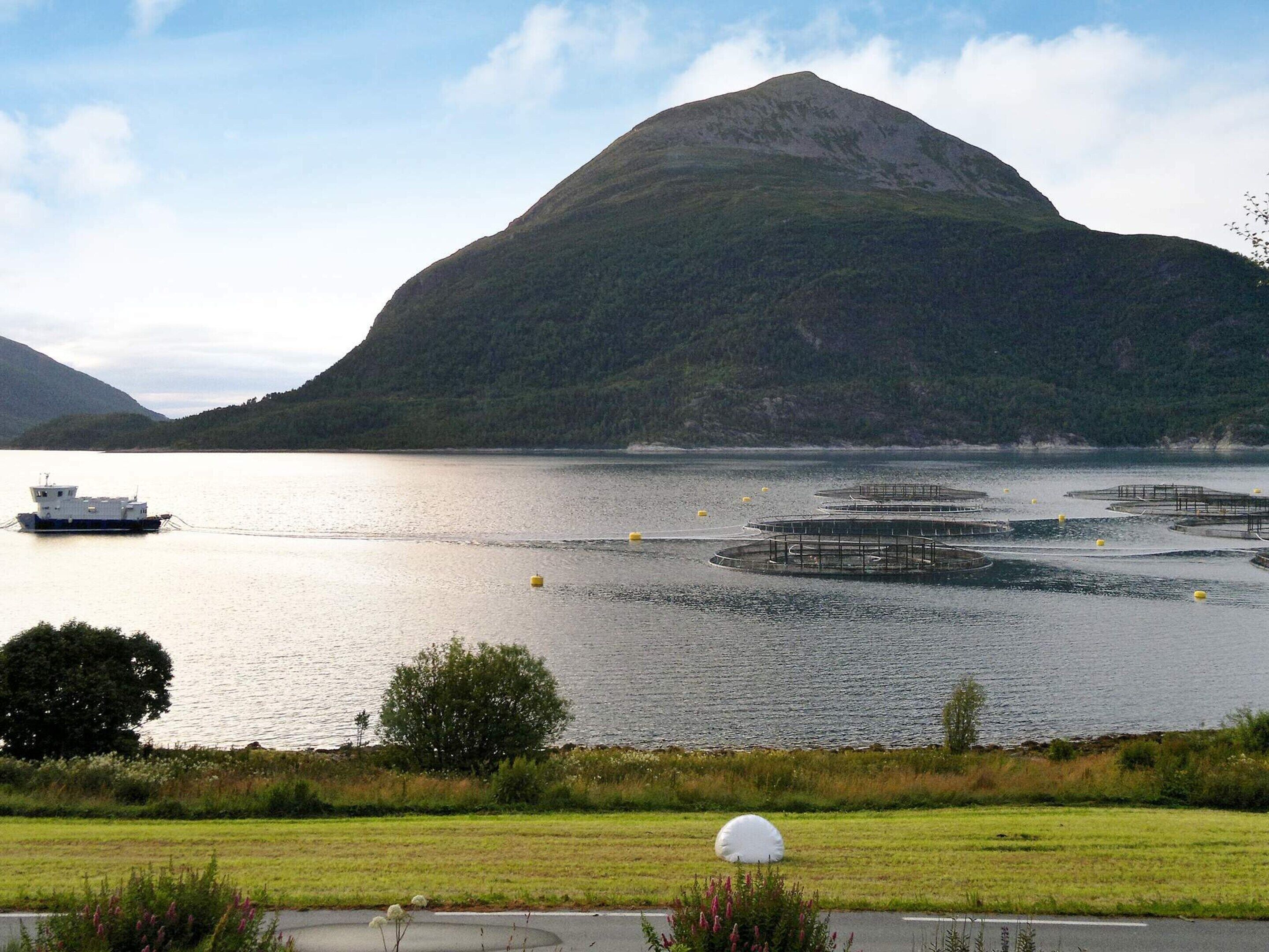 A boat on a calm lake with a mountain in the background and a grassy area in the foreground.