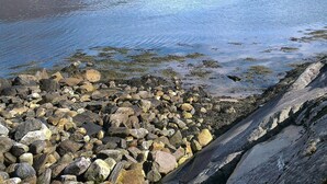 A rocky shoreline with a calm lake and distant mountains.