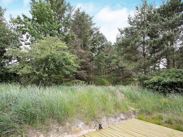 House | View from property