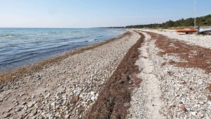 A pebbly beach with a clear sky, a boat, and a forested area in the background. - 6 Person Holiday Home in Nykobing Sj-by Traum (Nykobing Sjaelland)