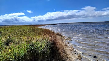 House | Water view