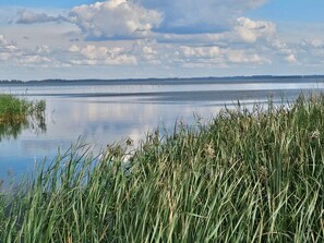 A calm lake with reeds in the foreground and a distant wind turbine. - Cozy Holiday Home in Ulfborg near Sea (Ulfborg)