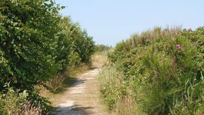 A narrow dirt path flanked by dense green foliage and wildflowers. - Cozy Holiday Home in Ulfborg near Sea (Ulfborg)