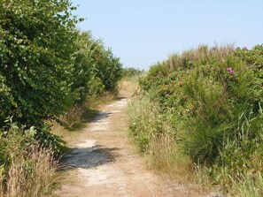 A narrow dirt path flanked by dense green foliage and wildflowers. - Cozy Holiday Home in Ulfborg near Sea (Ulfborg)