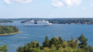 A cruise ship on a body of water with a forested shoreline in the background. - 4 Star Holiday Home in Akersberga (Akersberga)