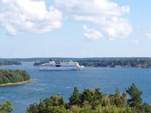 Ett kryssningsfartyg på en sjö eller ett hav med en skogbeklädd kustlinje i bakgrunden.