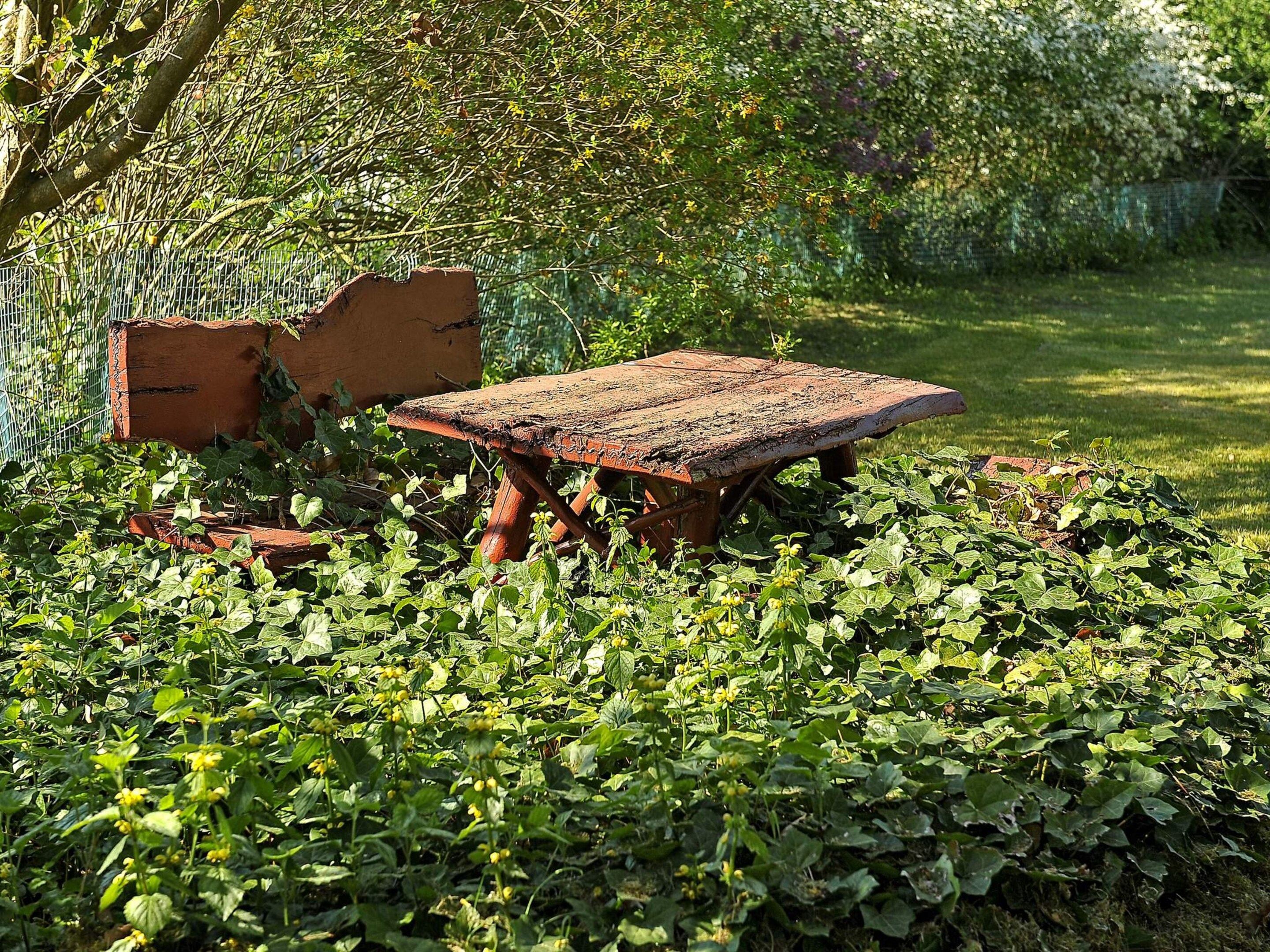 A rustic outdoor setting with a weathered wooden table surrounded by lush greenery.