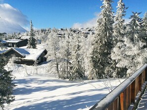 Exterior - 8 Person Holiday Home in Rjukan (Hjartdal)