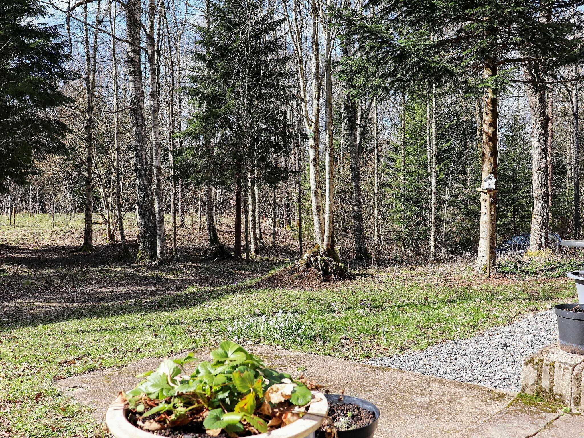 House | Property grounds