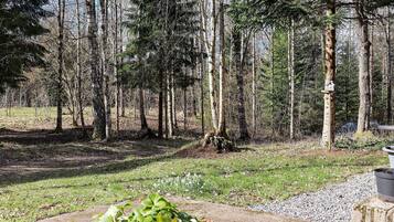 House | Property grounds