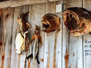 House | Miscellaneous - 5 Person Holiday Home in Vagland (Heim)