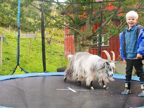 單棟房屋 | 住宿地面