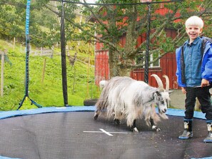 Property grounds - 5 Person Holiday Home in Vagland (Heim)