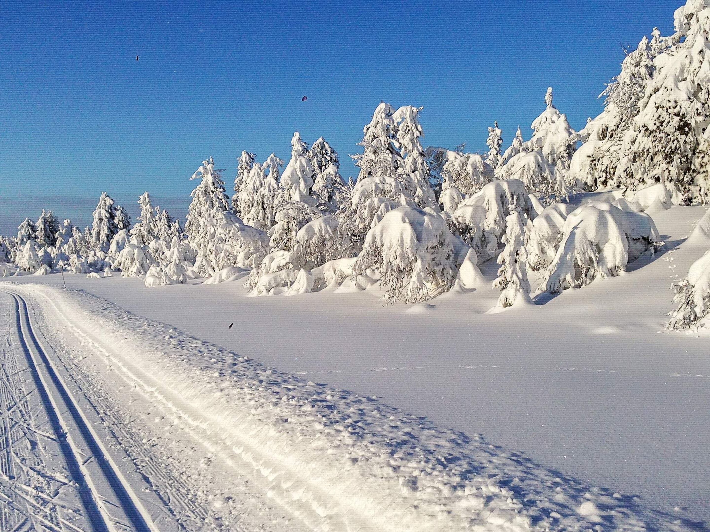 Un paysage enneigé, avec un ciel dégagé et une route où l’on voit les traces de pneus.