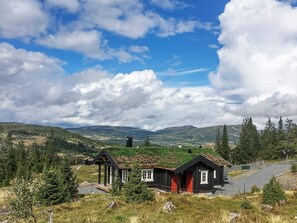 House | Exterior - Holiday Home in Svingvoll (Gausdal)