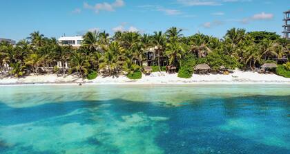 Ocean Front Villa @ Private Beach in Tulum. Snorkel, Kayak, Paddleboard Included