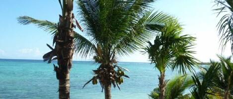 On the beach, sun-loungers, beach towels