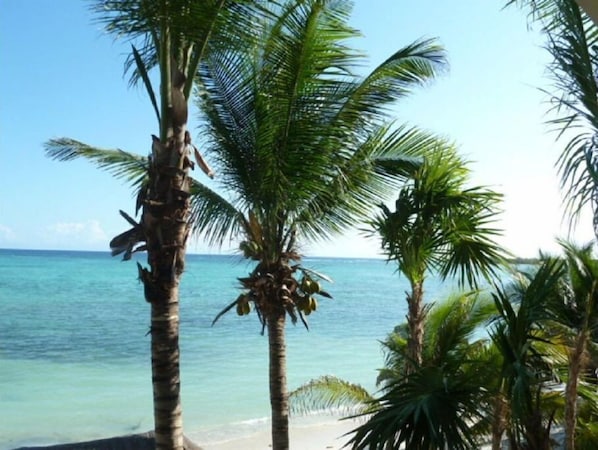 Plage, chaises longues, serviettes de plage