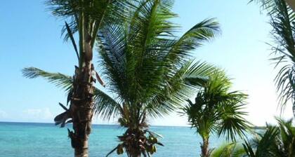 Beach Villa on Best Sandy Beach in Tulum. Snorkel, Kayak, Paddleboard Included