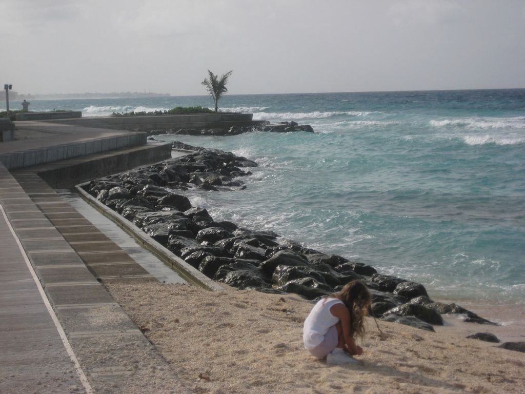 A coastal walkway with a rocky sea wall, a sandy beach, and a palm tree in the distance.