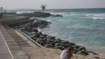 A coastal walkway with a rocky sea wall, a sandy beach, and a palm tree in the distance.