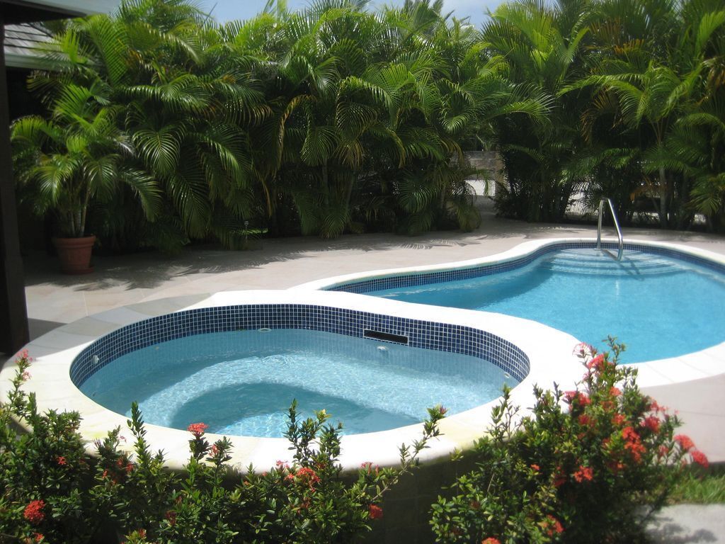 A swimming pool with a tiled edge, surrounded by lush greenery and flowering plants.