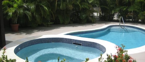 A swimming pool with a tiled edge, surrounded by lush greenery and flowering plants.