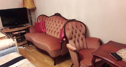 Entire Apartment- 3 Bedrooms, Bathroom, Kitchen, WC