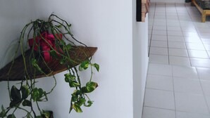A hallway with a white tiled floor, a wall-mounted shelf with a potted plant, a decorative mask, and a bed with a green curtain in the background. - Mi espacio en Cancun (Cancun)