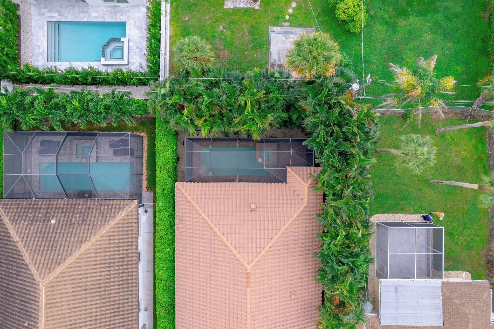 A rooftop with a swimming pool, a covered patio, and lush greenery.