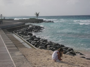 A coastal walkway with a rocky sea wall, a sandy beach, and a palm tree in the distance.