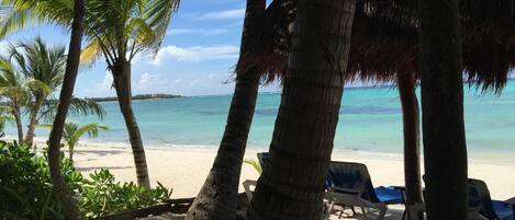 Plage à proximité, chaise longue, serviettes de plage