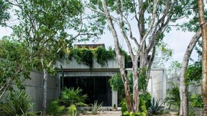 A modern building with a gravel pathway leading to a glass door entrance, surrounded by various plants and trees. - CASA T -  Chic, Modern Villa with 3 Master Suites, AC & Pool  (Tulum)