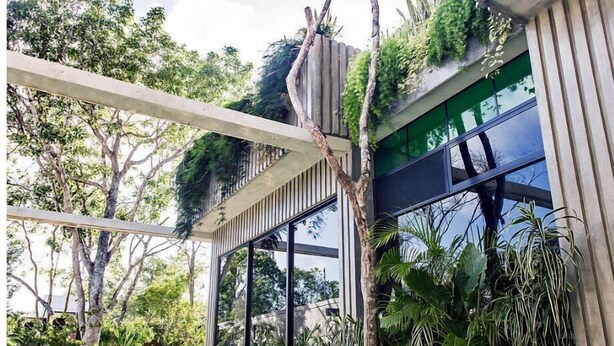 A modern outdoor pool area with a glass enclosure, surrounded by lush greenery and trees. - CASA T -  Chic, Modern Villa with 3 Master Suites, AC & Pool  (Tulum)
