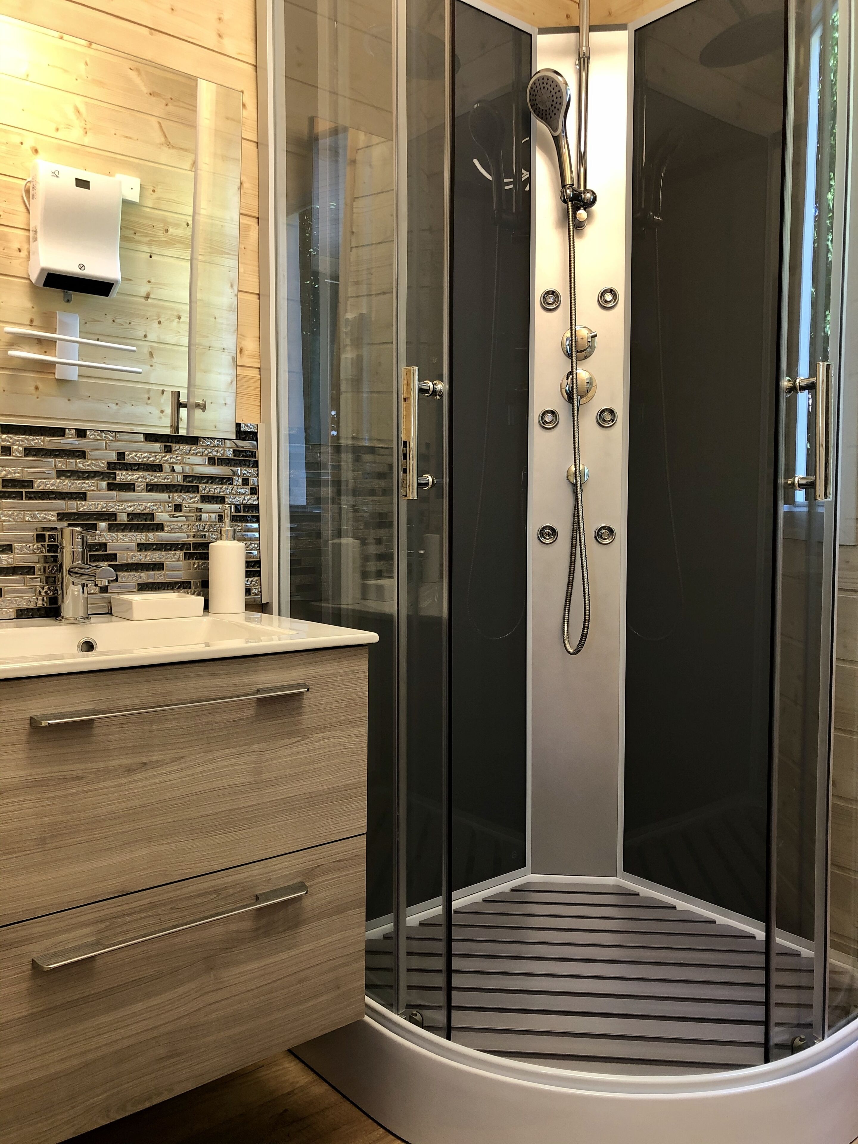 Shower, hair dryer, toilet paper