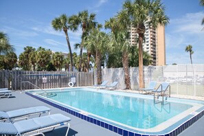 Outdoor pool, sun loungers