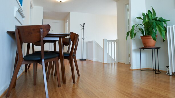 Comedor con mesa y sillas de madera, una planta en maceta y un perchero.