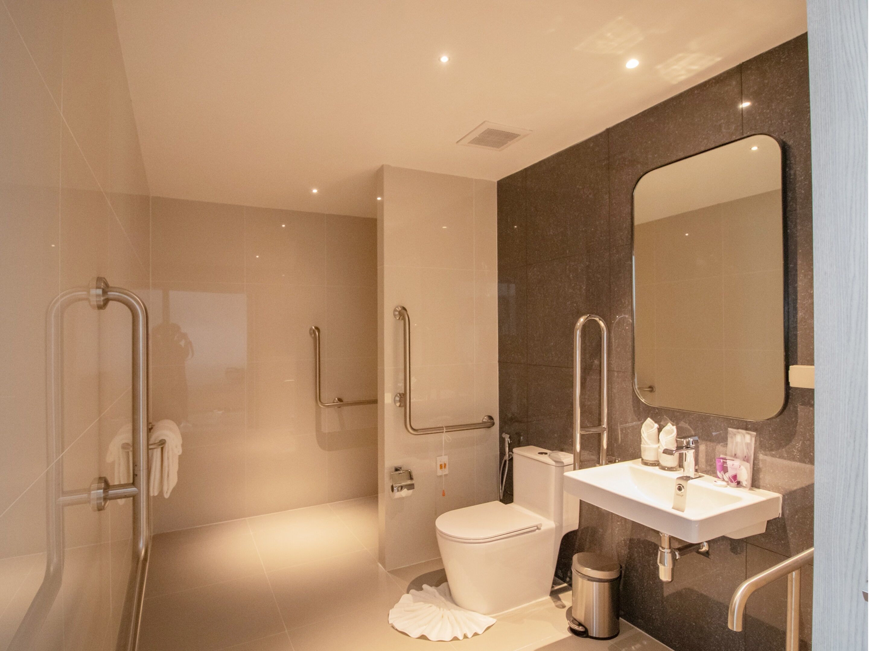Une salle de bain moderne équipée d’une douche, de toilettes et d’un lavabo, ainsi que de barres d’appui et d’un grand miroir.