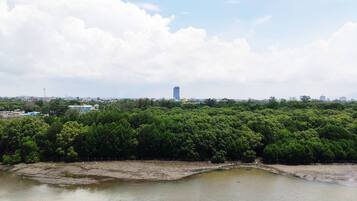 Ufer mit dichter Vegetation und einem Gebäude in der Ferne.