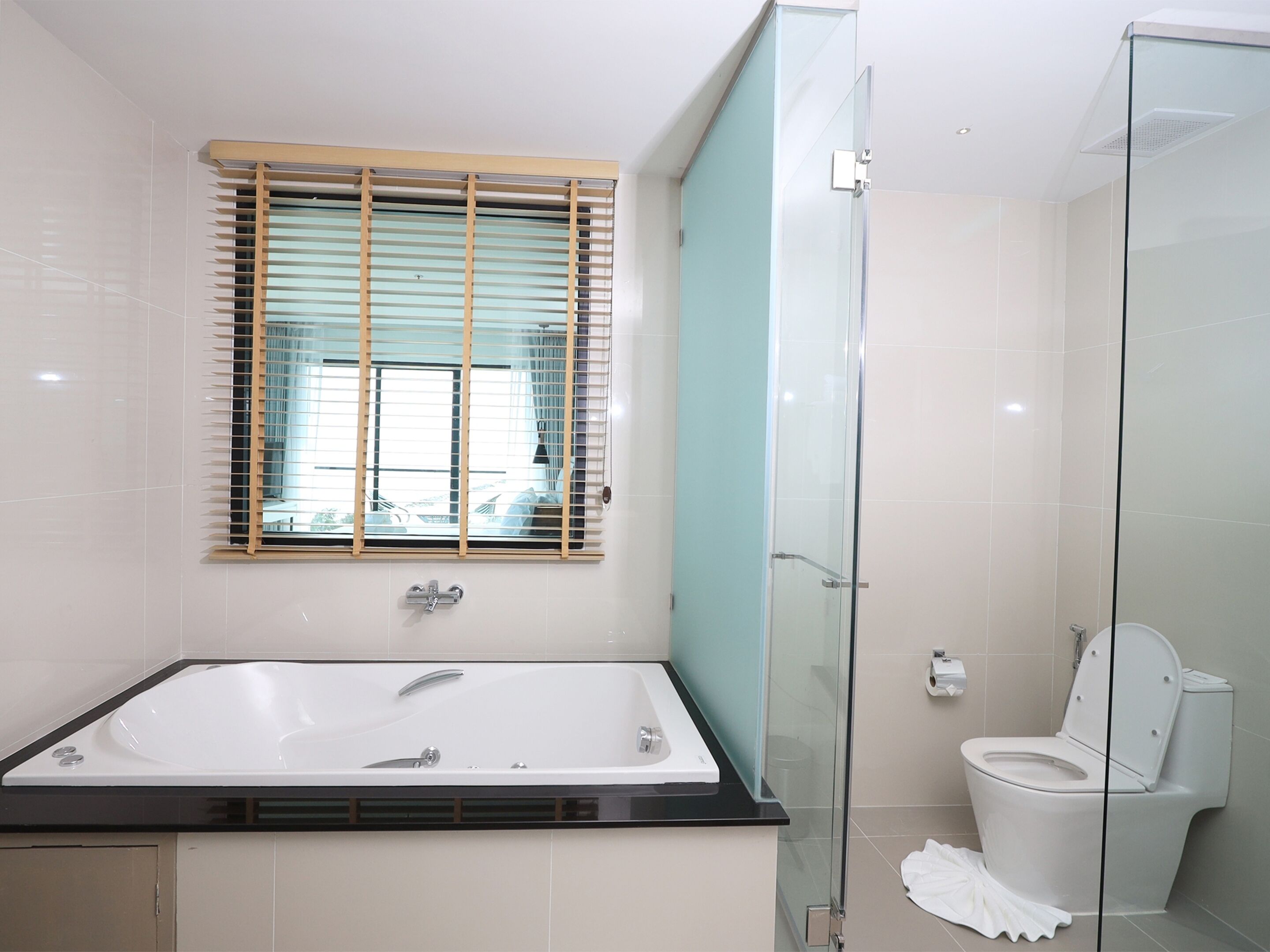 A modern bathroom with a glass-enclosed shower, a bathtub, and a toilet.