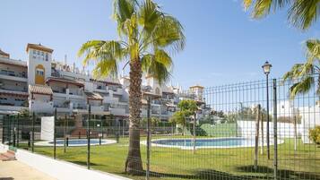 A fenced outdoor area with a pool, palm trees, and a building complex in the background.