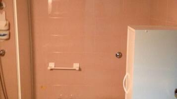 Apartment, 2 Bedrooms | Bathroom | Shower, rainfall showerhead, hair dryer, bidet