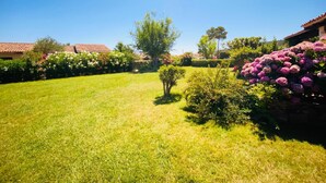 A well-maintained garden with a variety of flowering plants and a clear blue sky. - Appartamento Cala d'Ambra (San Teodoro)