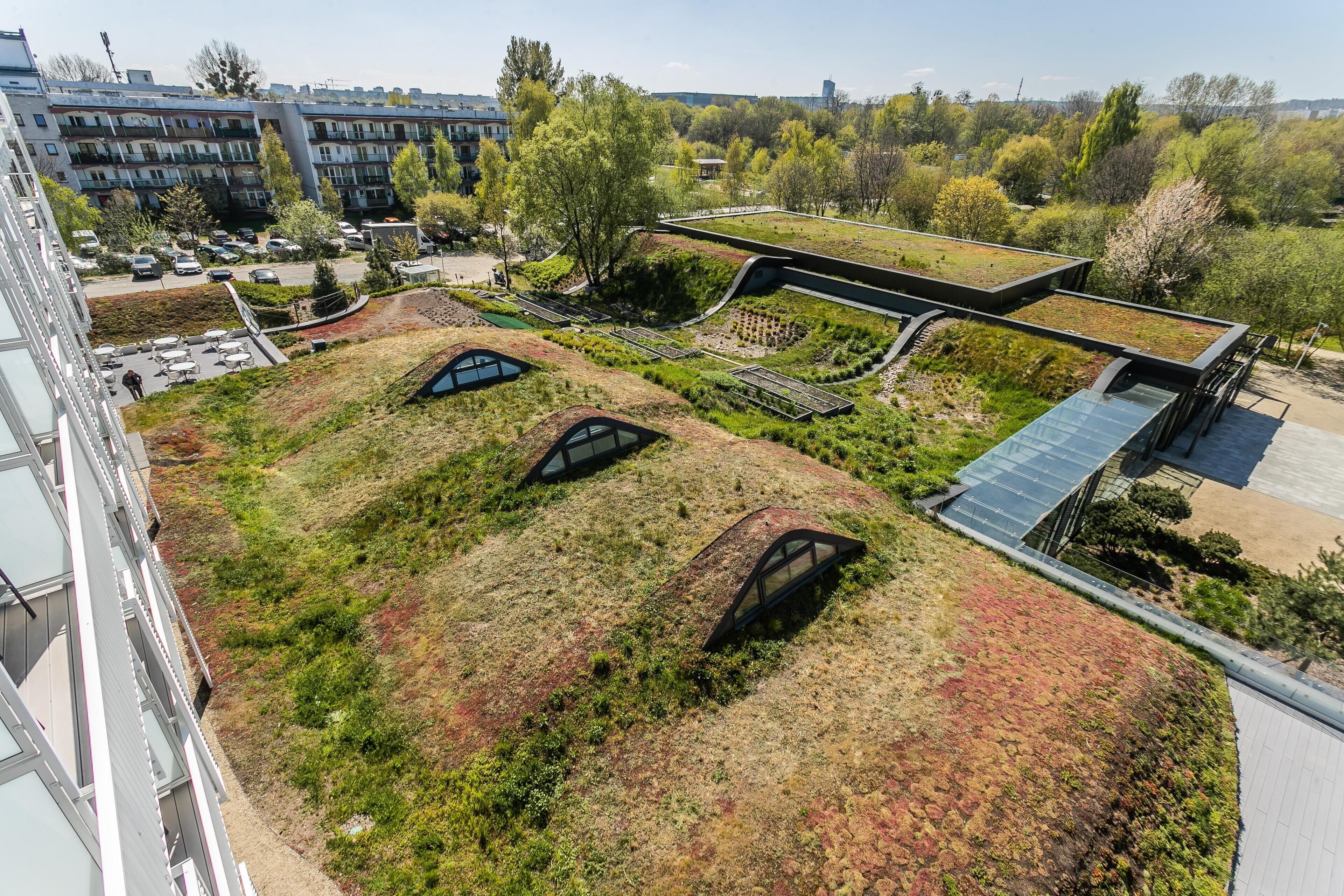 En takträdgård med frodig grönska och en modern arkitektonisk design.
