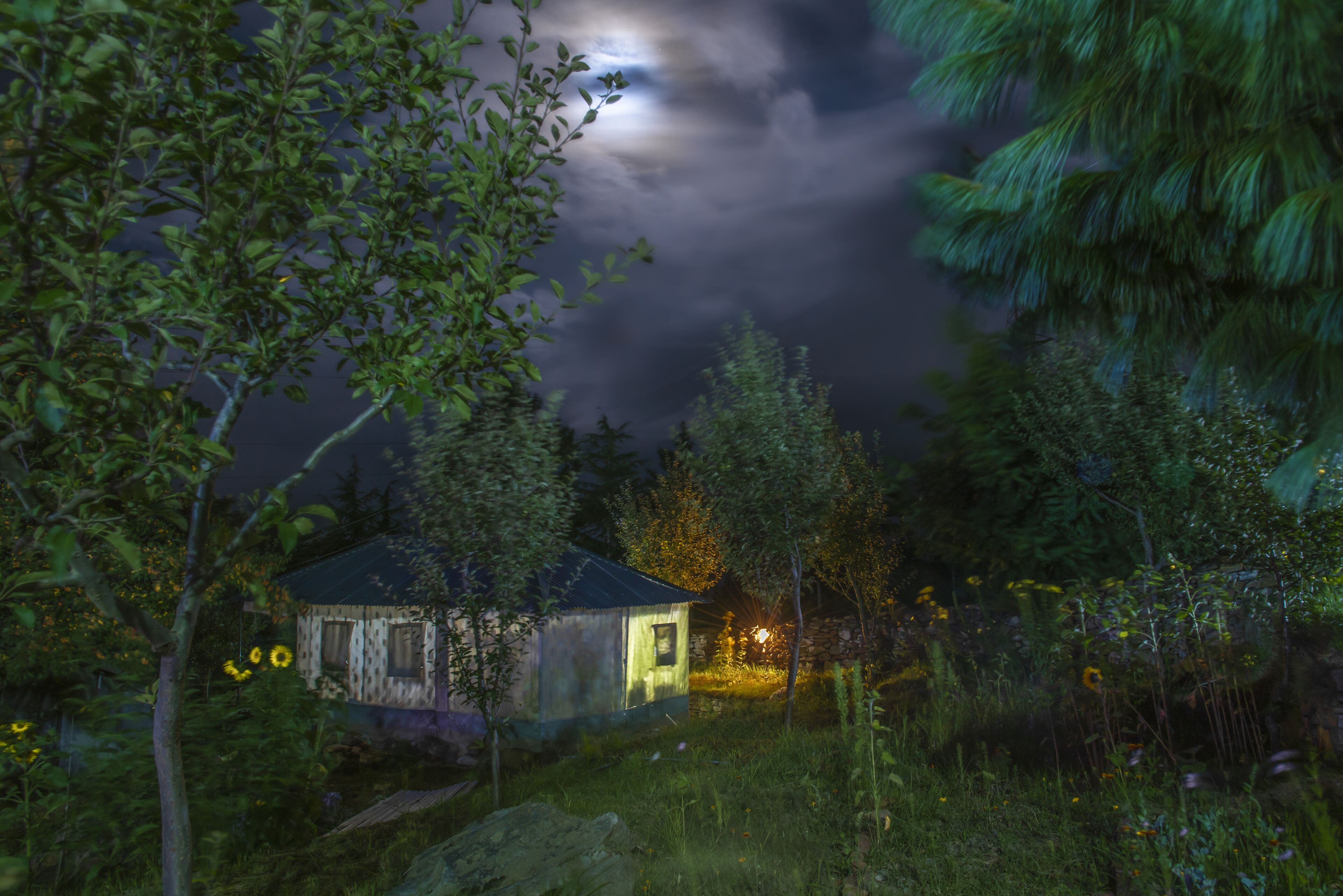 The monk by LivingStone Premium Room