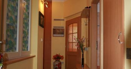 Apartment No. 2 Tržiště 29