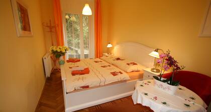 Apartment No. 12 Tržiště 29